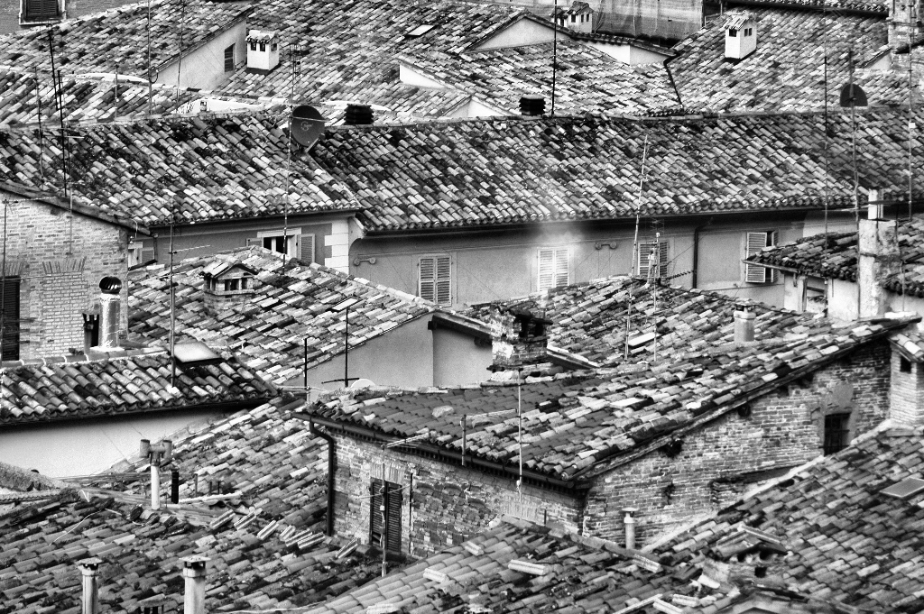 Immagine ridimensionata: clicca sull'immagine per vederla con le dimensioni originali.